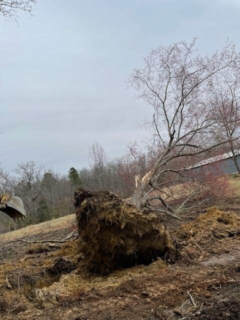 480961688_122180562254110245_3455142313421049790_n