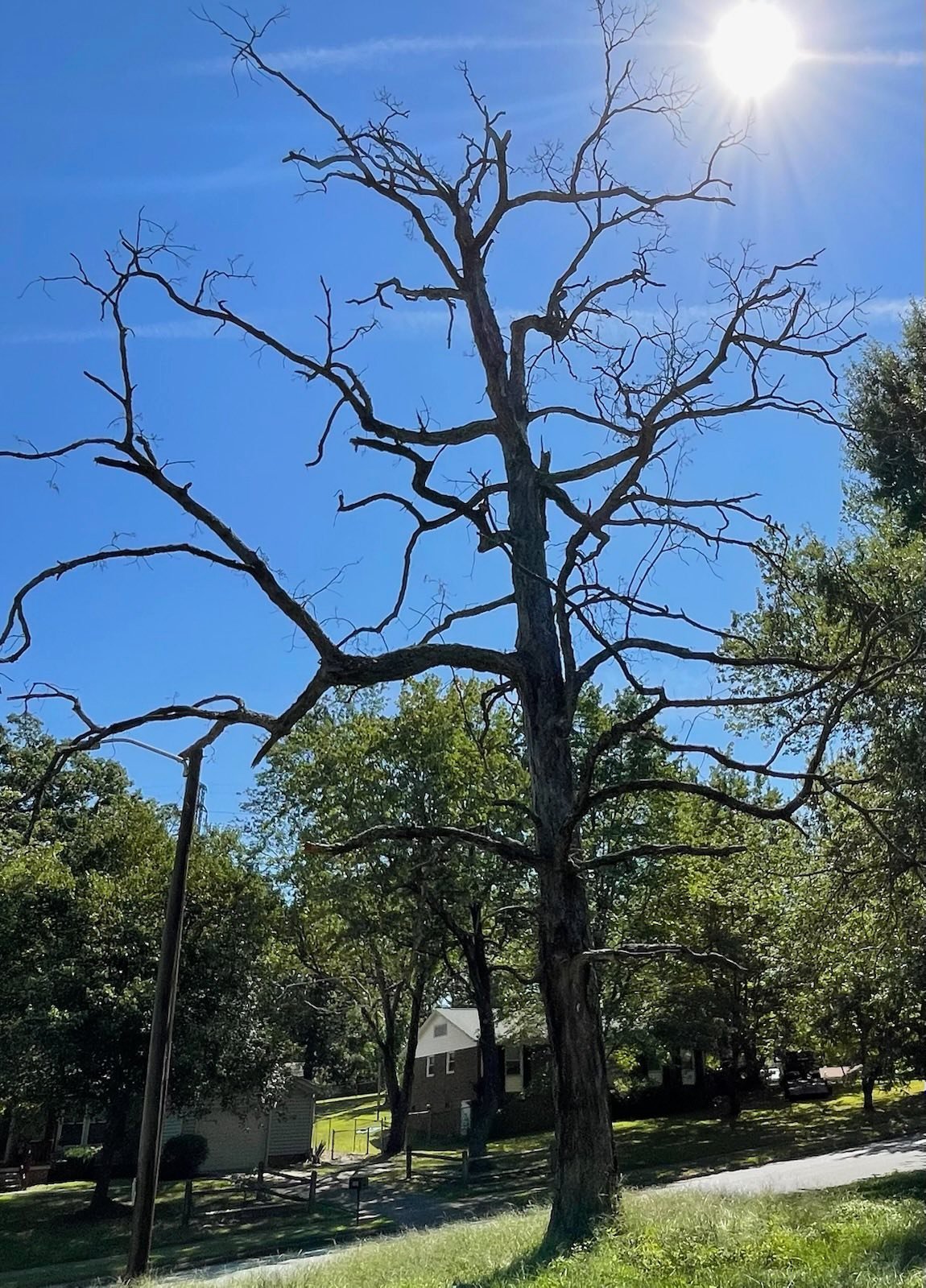 541777761_122200843760110245_1808438735618796976_n