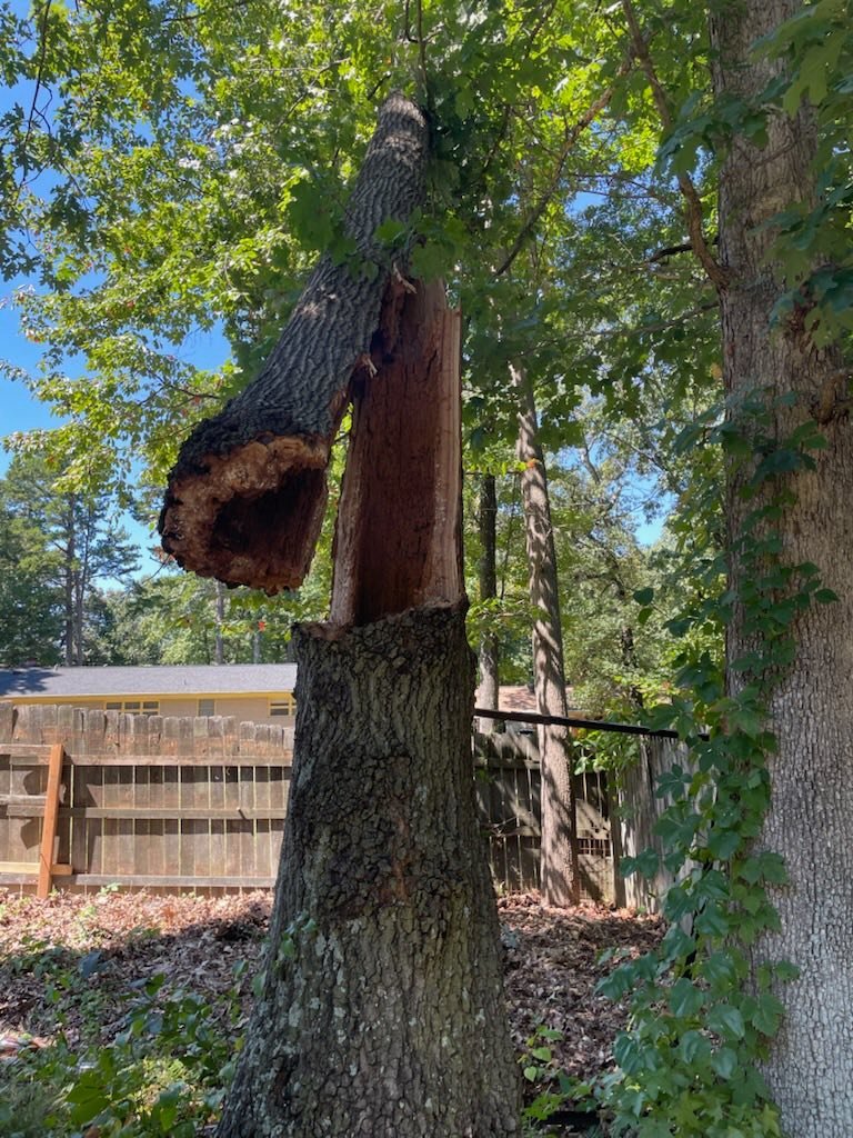 542553221_122200841516110245_5426667081927035210_n