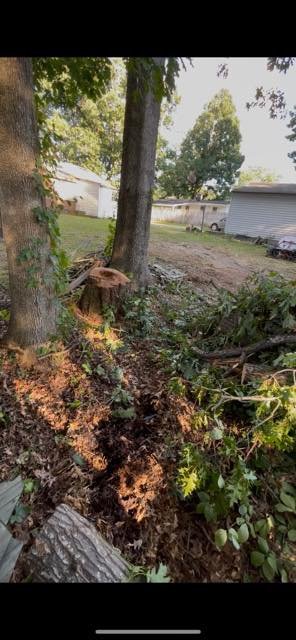 544529829_122200838294110245_7128009192441572551_n