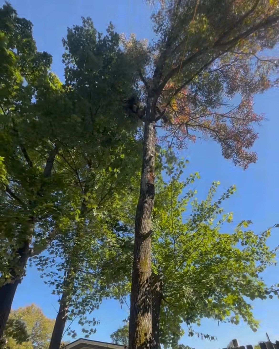 559443546_122205117962110245_5600182455161356429_n