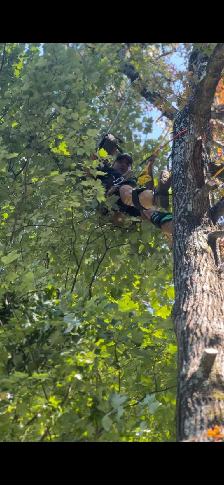 559463652_122205117578110245_5429226831623314259_n