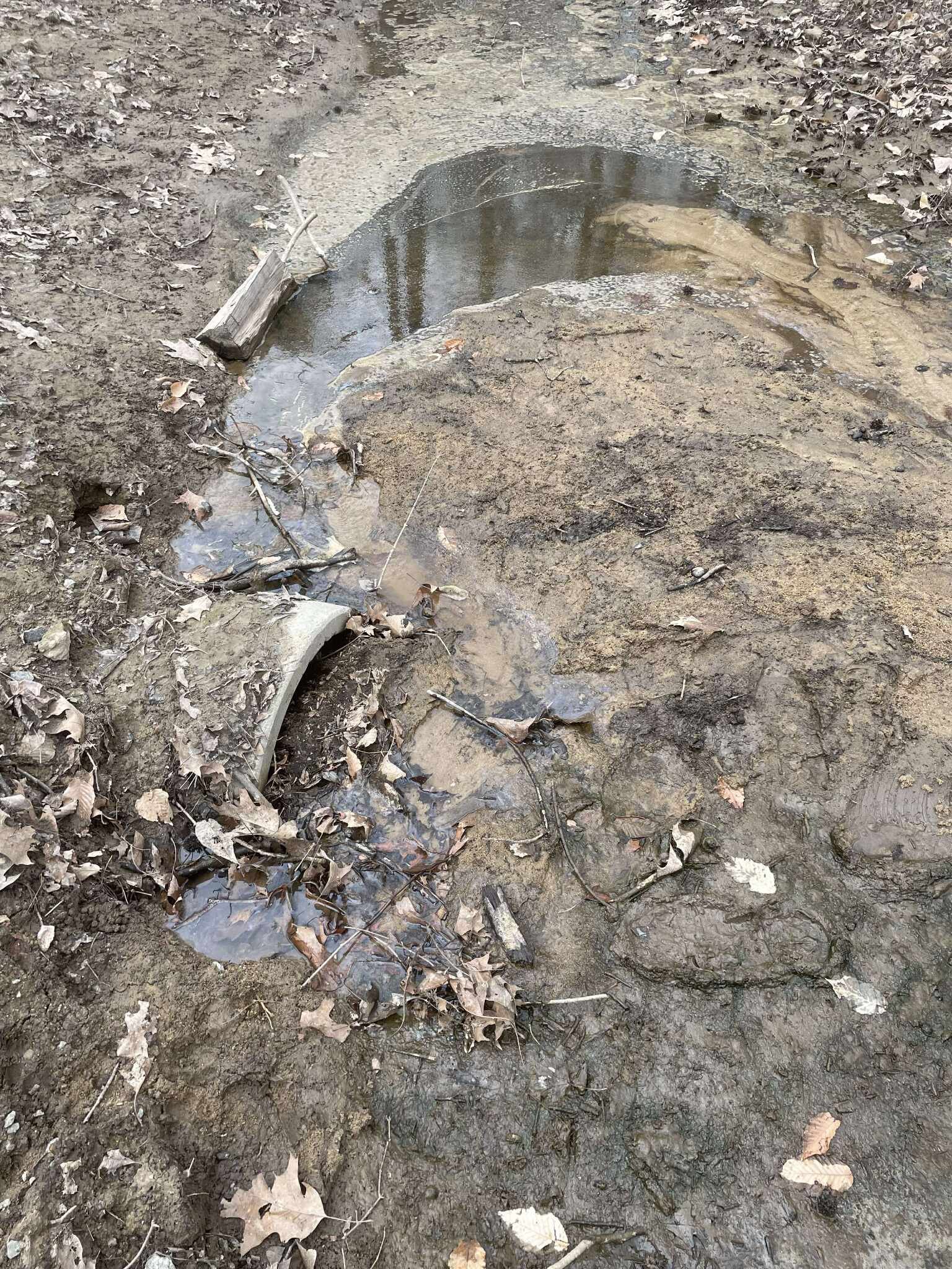 589251791_4018043878340023_3781074796774439388_n