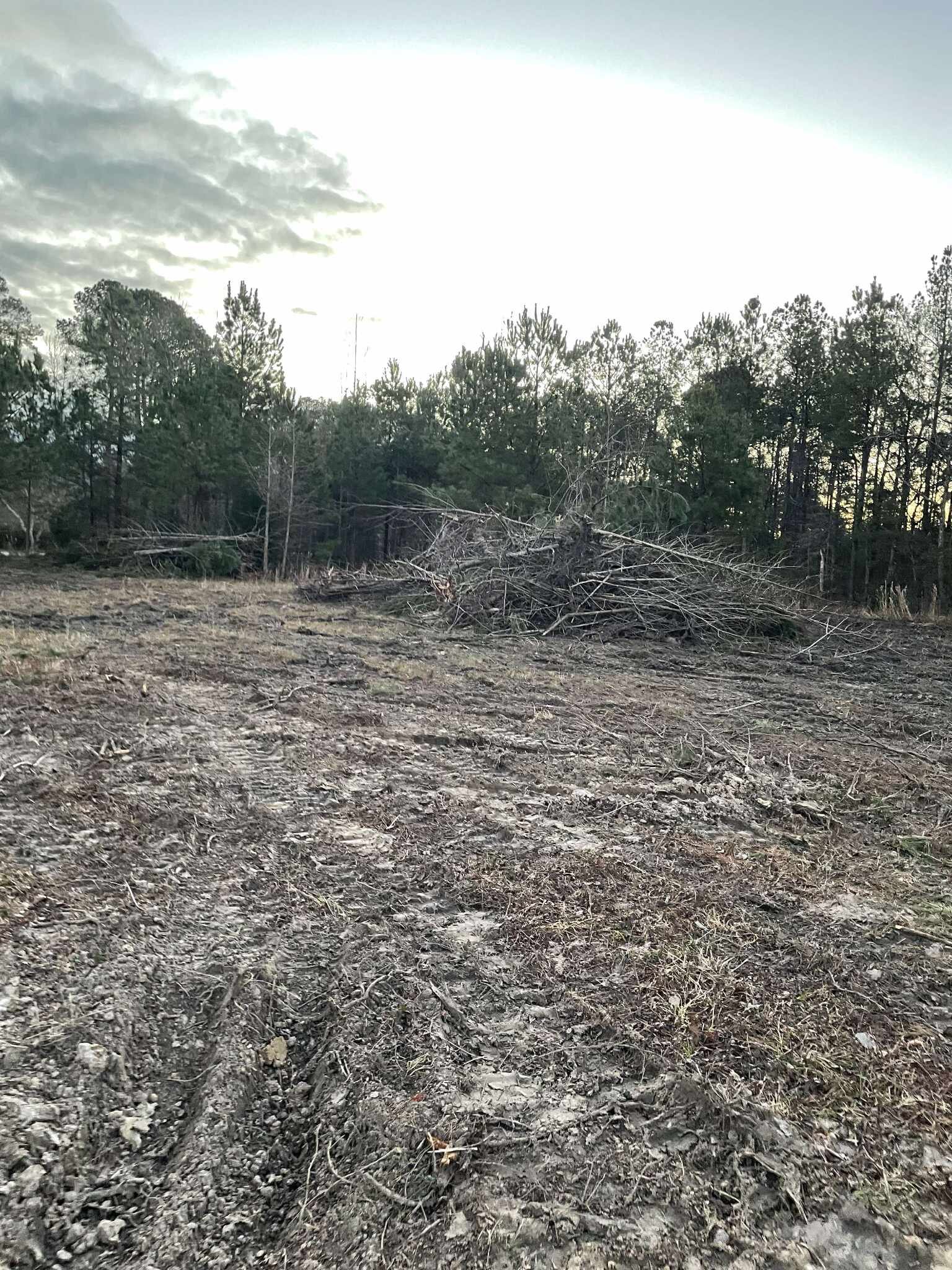 589875400_3233867253455375_7125873958105513739_n