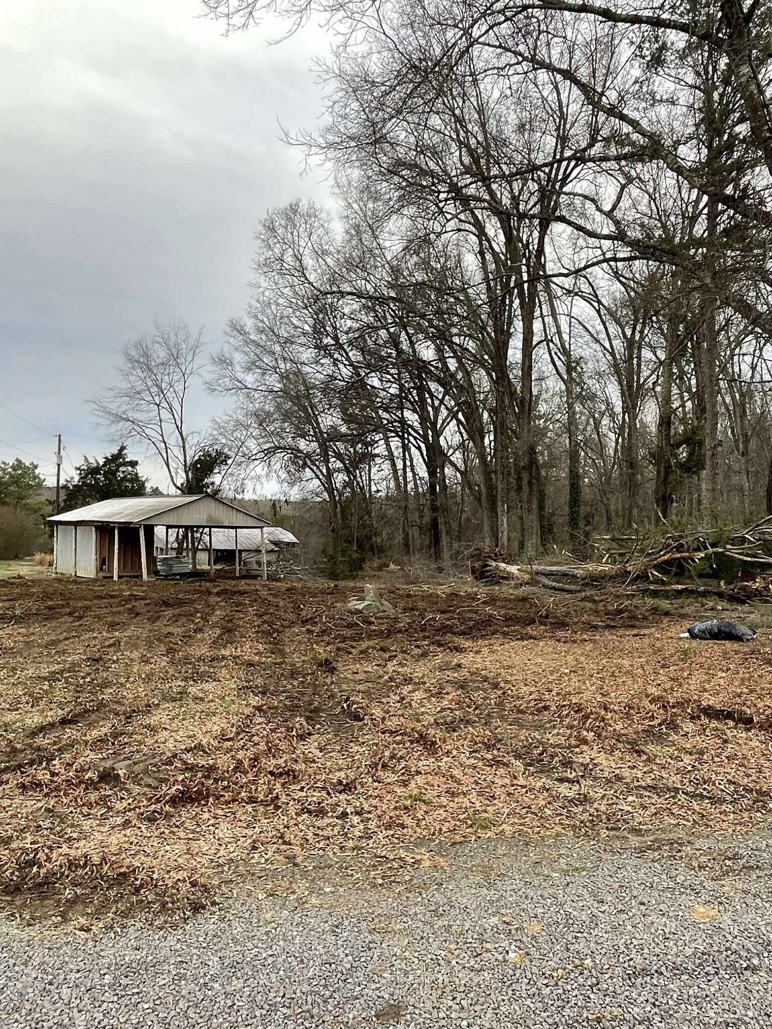 591461779_1177140993951097_8762696416103859079_n