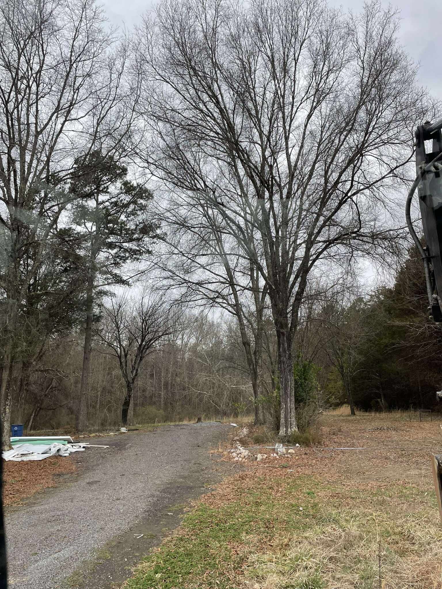 592107001_1526781715234442_6985643547001781659_n